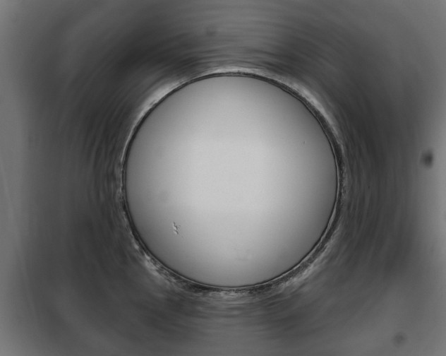 X0000102461145200808080938