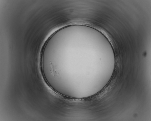 X0000102461147200808080938