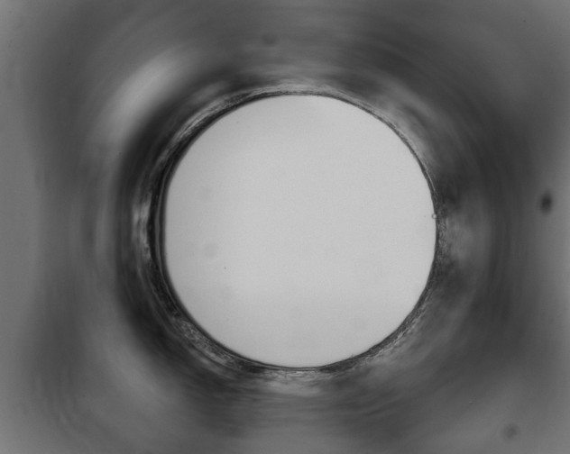 X0000102461150200808080938
