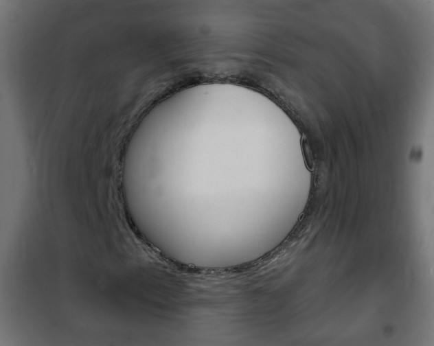 X0000102461153200808080938