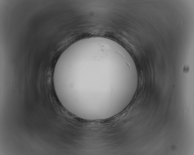 X0000102461154200808080937