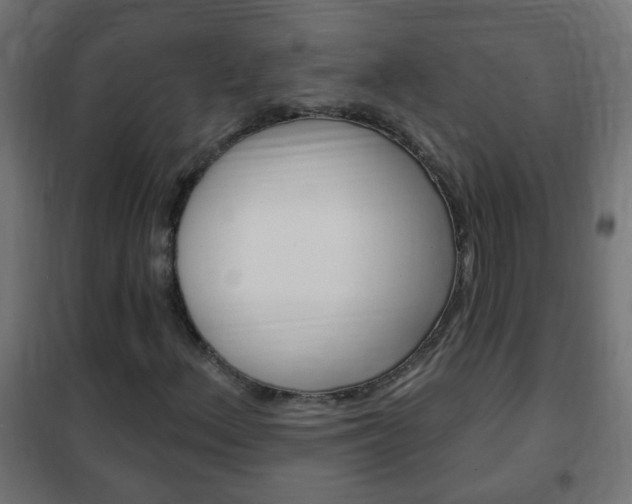X0000102461156200808080937