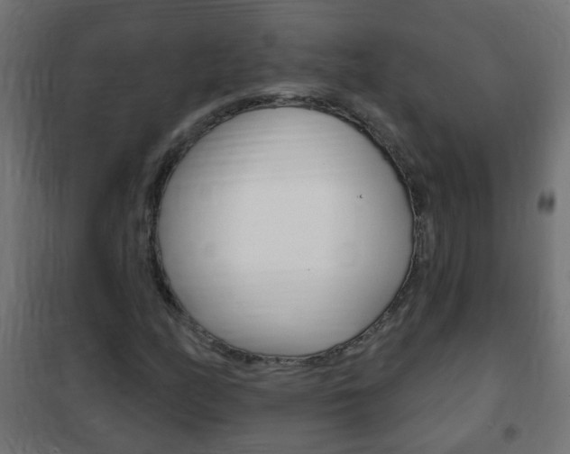 X0000102461158200808080937