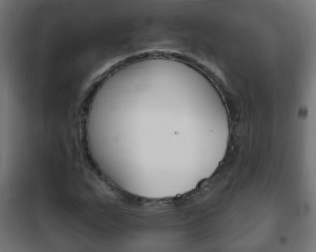 X0000102461159200808080937