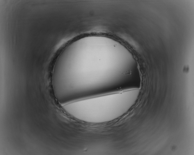 X0000102461160200808080937