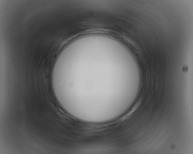 X0000102461161200808080937