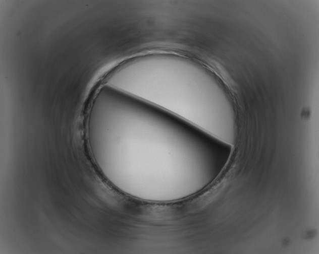X0000102461164200808080937