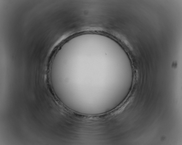 X0000102461165200808080937