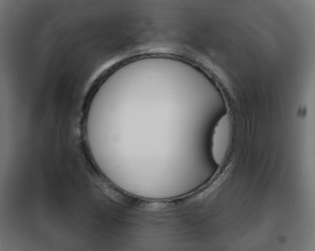 X0000102461166200808080937