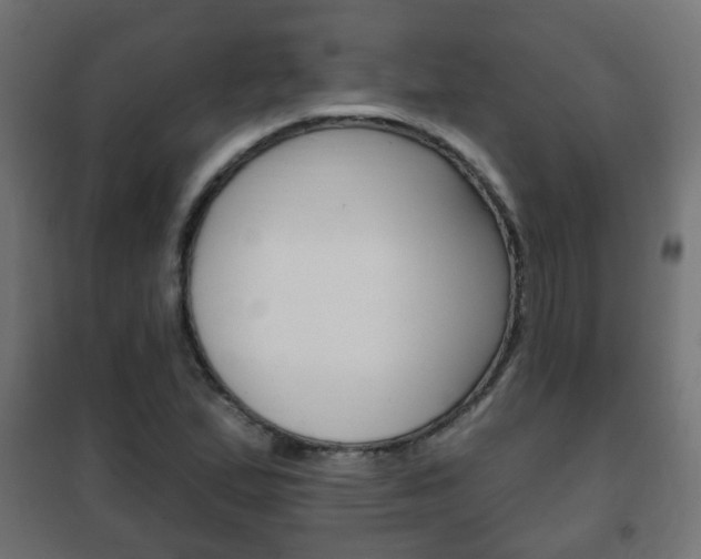 X0000102461167200808080937