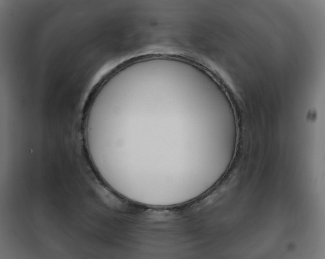 X0000102461168200808080937