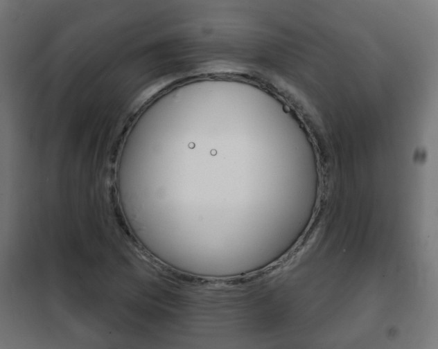 X0000102461169200808080937