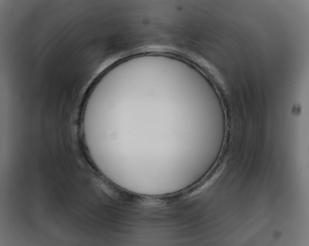 X0000102461170200808080937