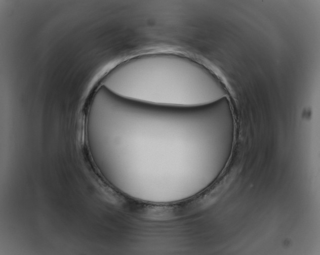 X0000102461171200808080937