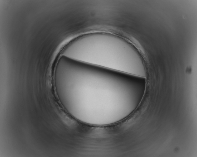 X0000102461172200808080937