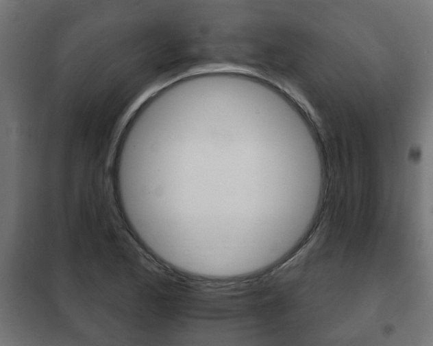 X0000102461173200808080937