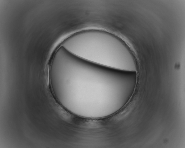 X0000102461175200808080937