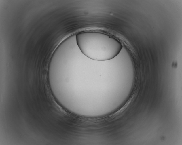 X0000102461177200808080937