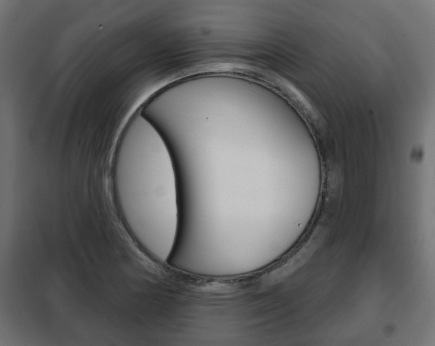 X0000102461178200808080937