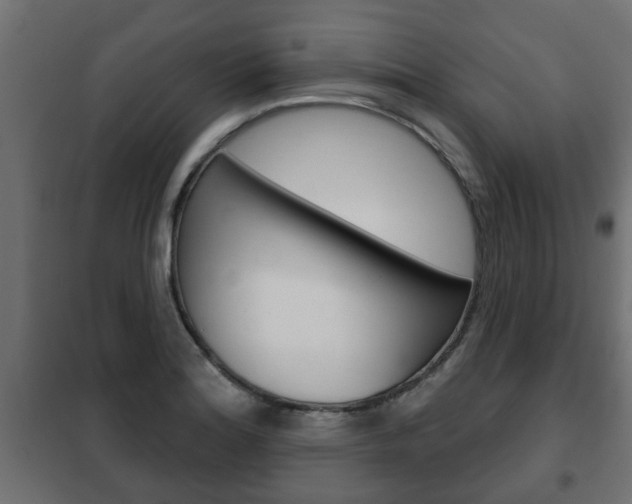 X0000102461180200808080937