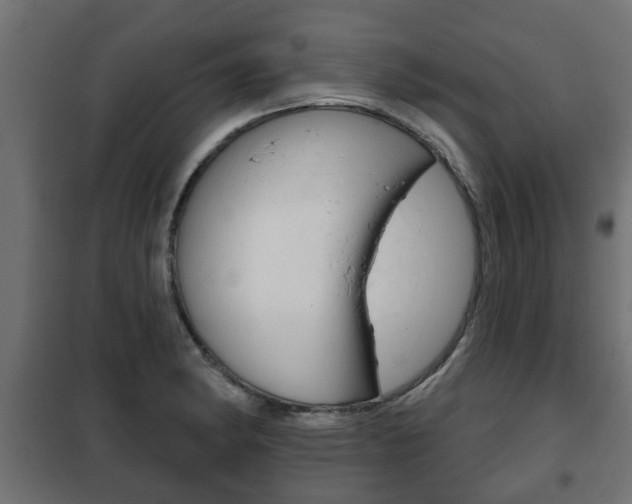 X0000102461182200808080937