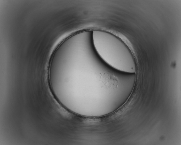 X0000102461183200808080937