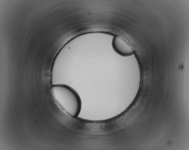 X0000102461185200808080937