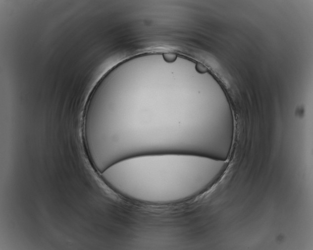 X0000102461186200808080937