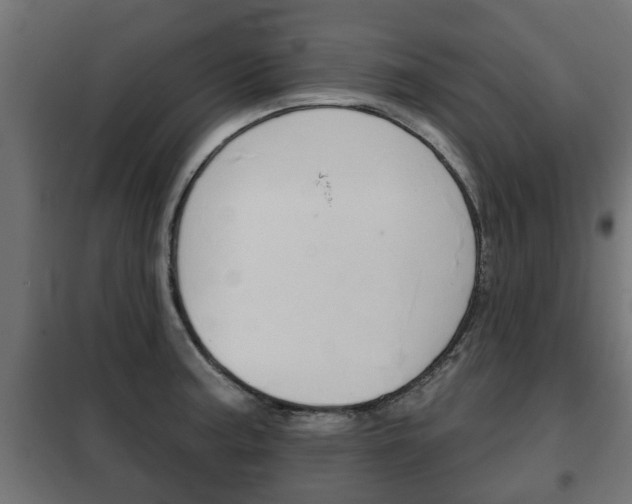 X0000102461187200808080937