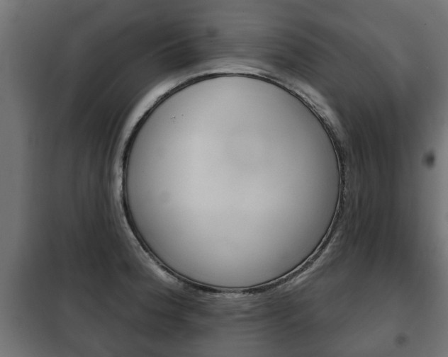 X0000102461188200808080937