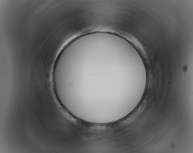X0000102461190200808080937
