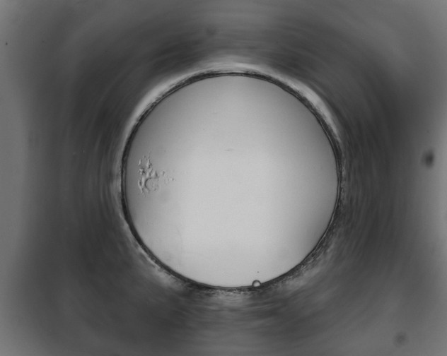 X0000102461191200808080937