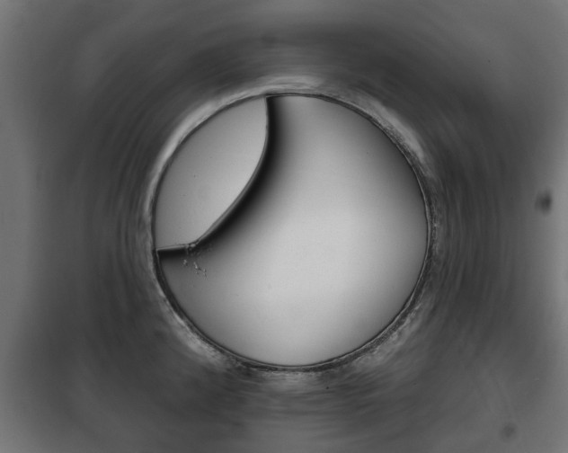 X0000102461192200808080937