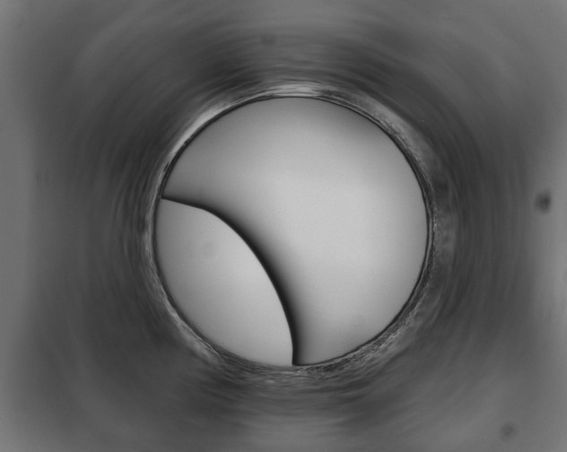X0000102461194200808080937