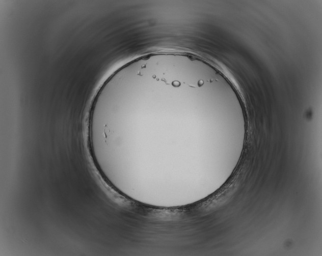 X0000102461195200808080937