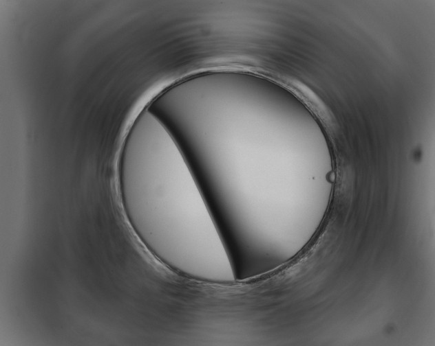 X0000102461196200808080937
