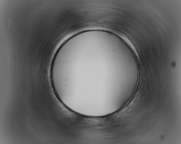 X0000102461197200808080937
