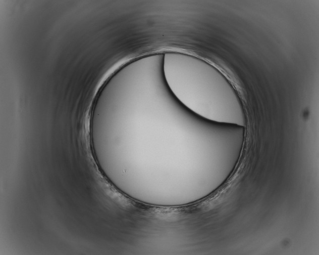 X0000102461198200808080937