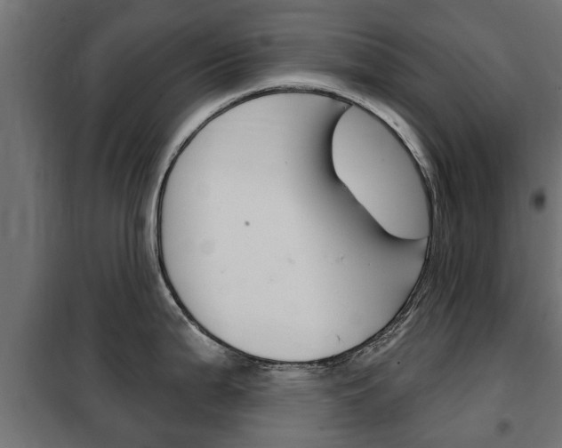 X0000102461199200808080937