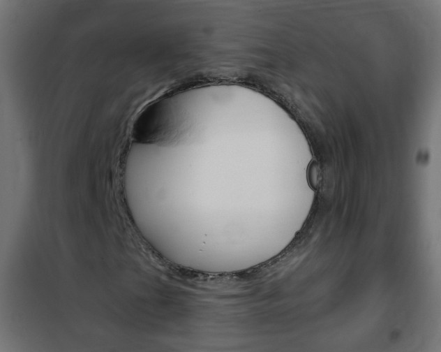X0000102461201200808080936