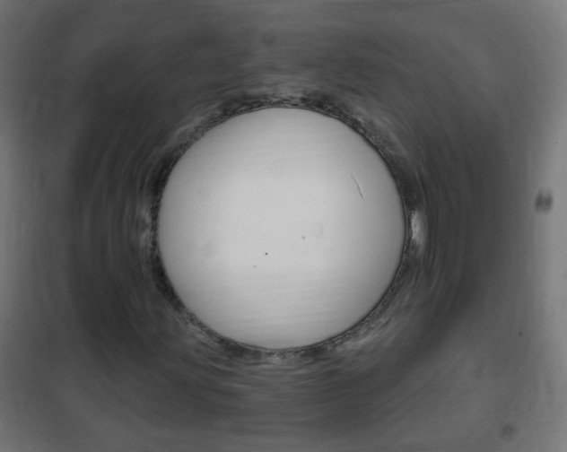 X0000102461203200808080936