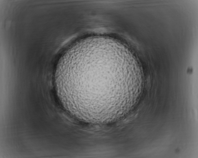 X0000102461205200808080936