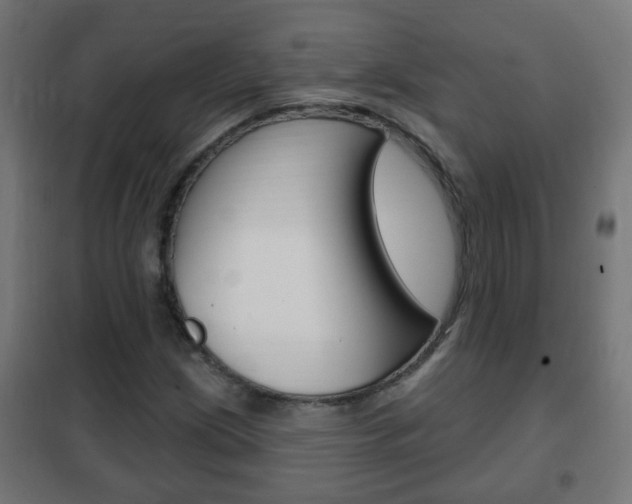 X0000102461209200808080936