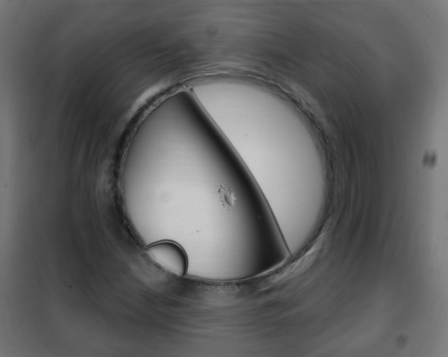 X0000102461210200808080936