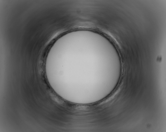 X0000102461211200808080936