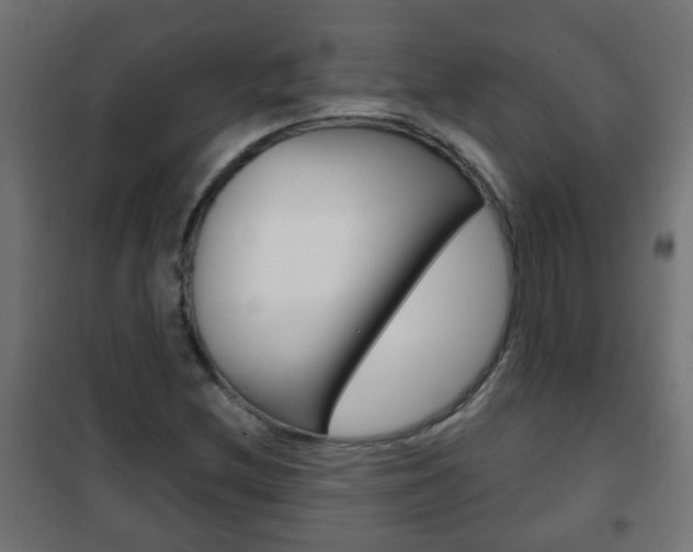 X0000102461212200808080936