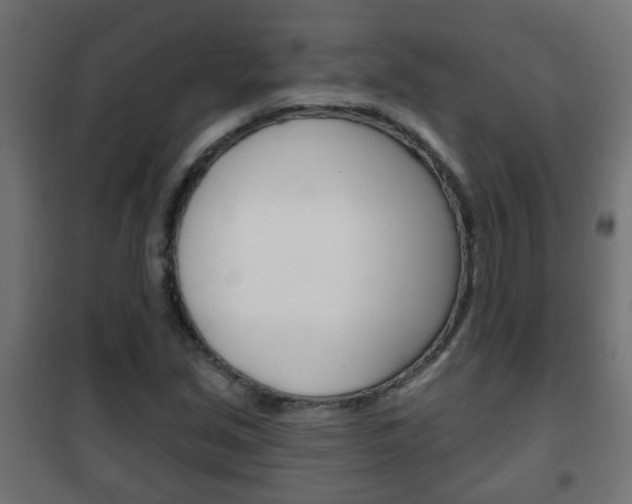 X0000102461213200808080936