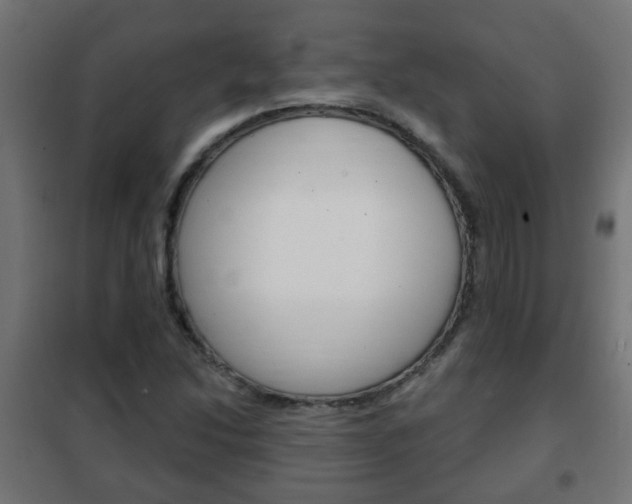 X0000102461214200808080936