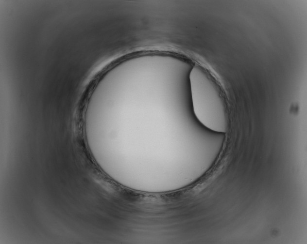 X0000102461215200808080936