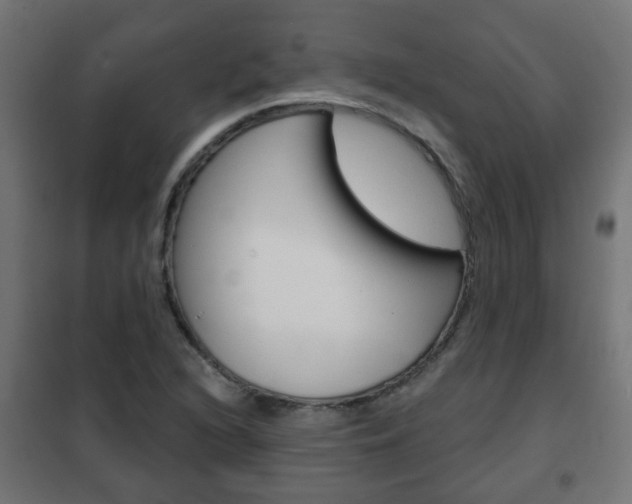 X0000102461216200808080936